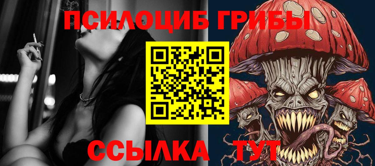 Галлюциногенные грибы Psilocybine cubensis  купить наркотики цена  Рославль  Галлюциногенные грибы GOLDEN TEACHER  Вход с VPN 