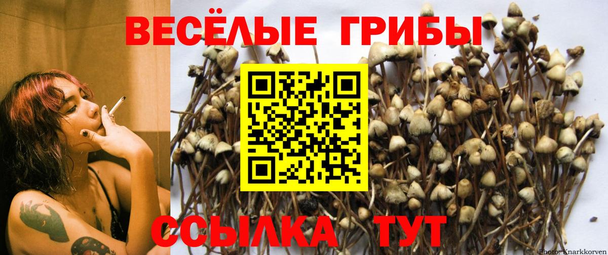 Галлюциногенные грибы мицелий Рославль